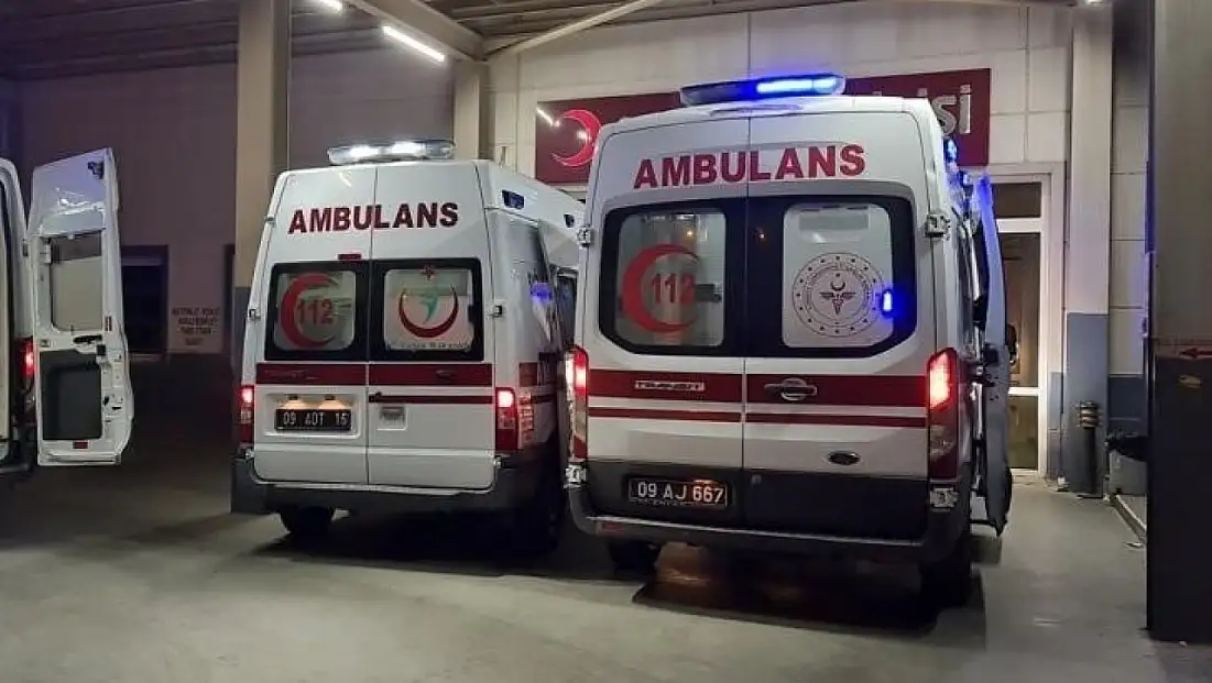 Anız yangını can aldı