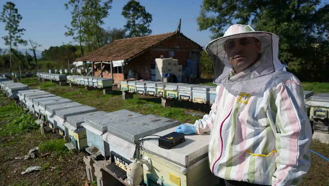 Arıcılığa teknoloji desteği