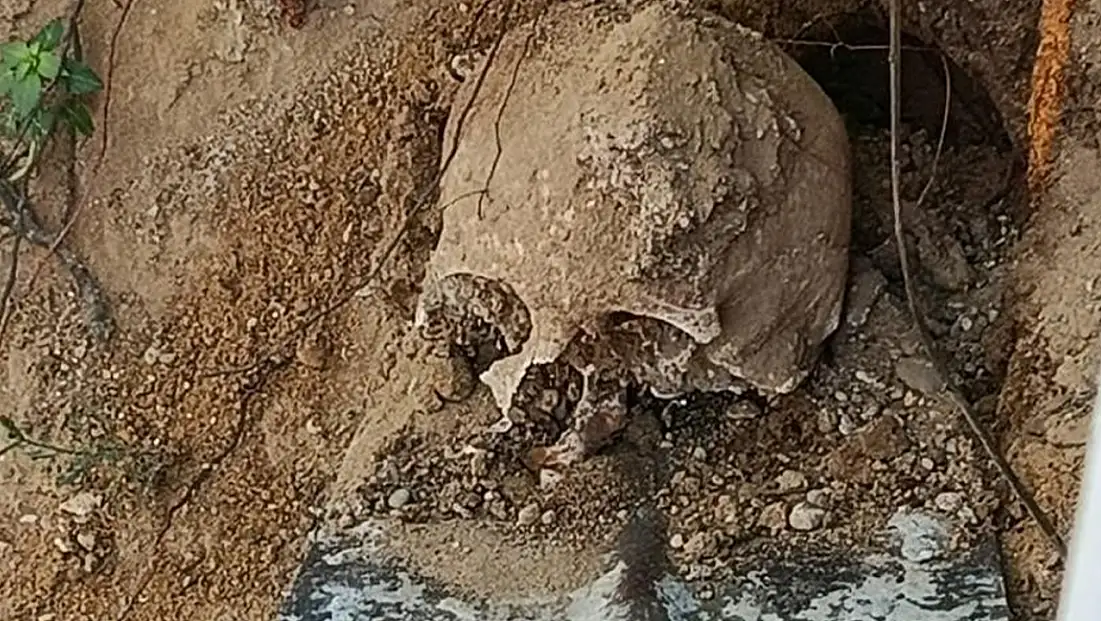 Fidan dikmek istediler insan kafatası  buldular