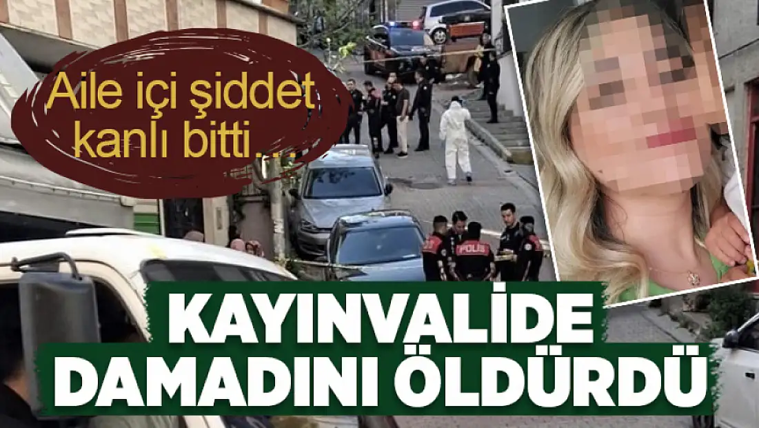 Aile içi şiddet kanlı bitti: Kayınvalide damadını öldürdü