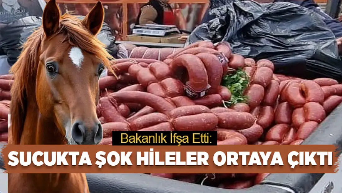 Bakanlık ifşa etti: Sucukta şok hileler ortaya çıktı
