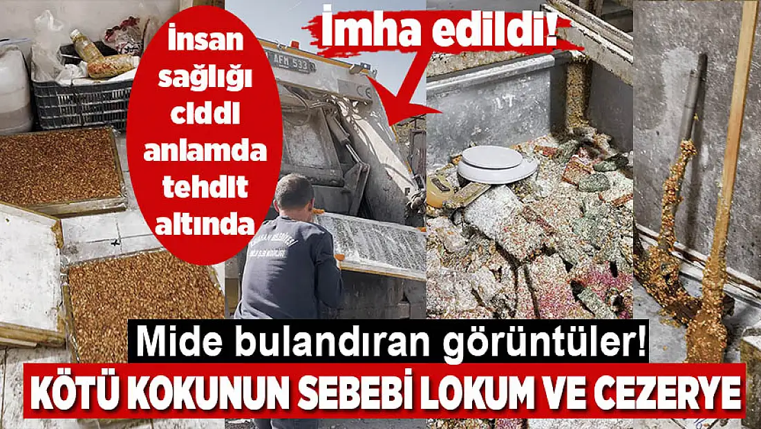 Halkın sağlığı tehdit altında! Mide bulandıran şartlarda lokum ve cezerye ürettiler