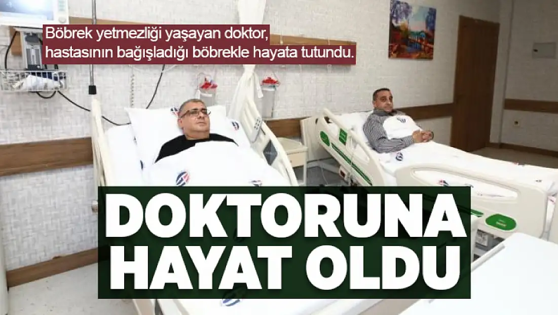 Hayat kurtaran vefa: Doktoruna böbreğini bağışladı