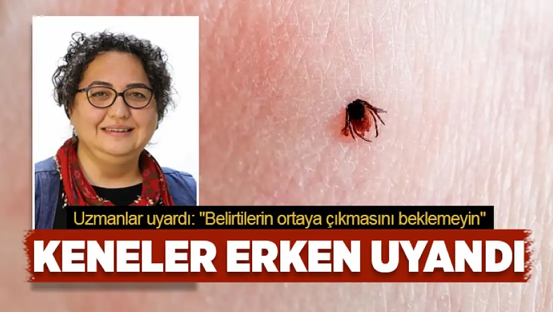 Keneler erken uyandı: Uzmanlar uyardı