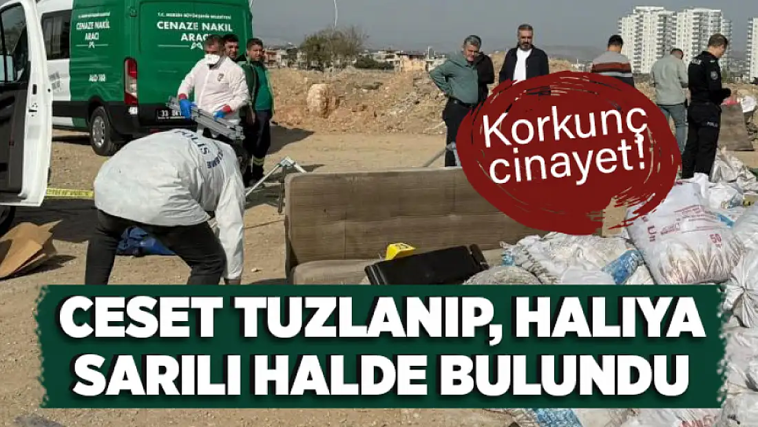 Korkunç cinayet: Ceset tuzlanıp, halıya sarılı halde bulundu