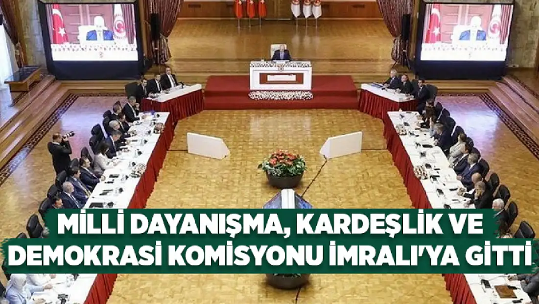 Milli Dayanışma, Kardeşlik ve Demokrasi Komisyonu İmralı'ya gitti