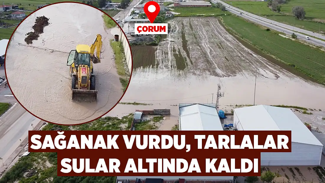 Sağanak tarım arazilerini vurdu
