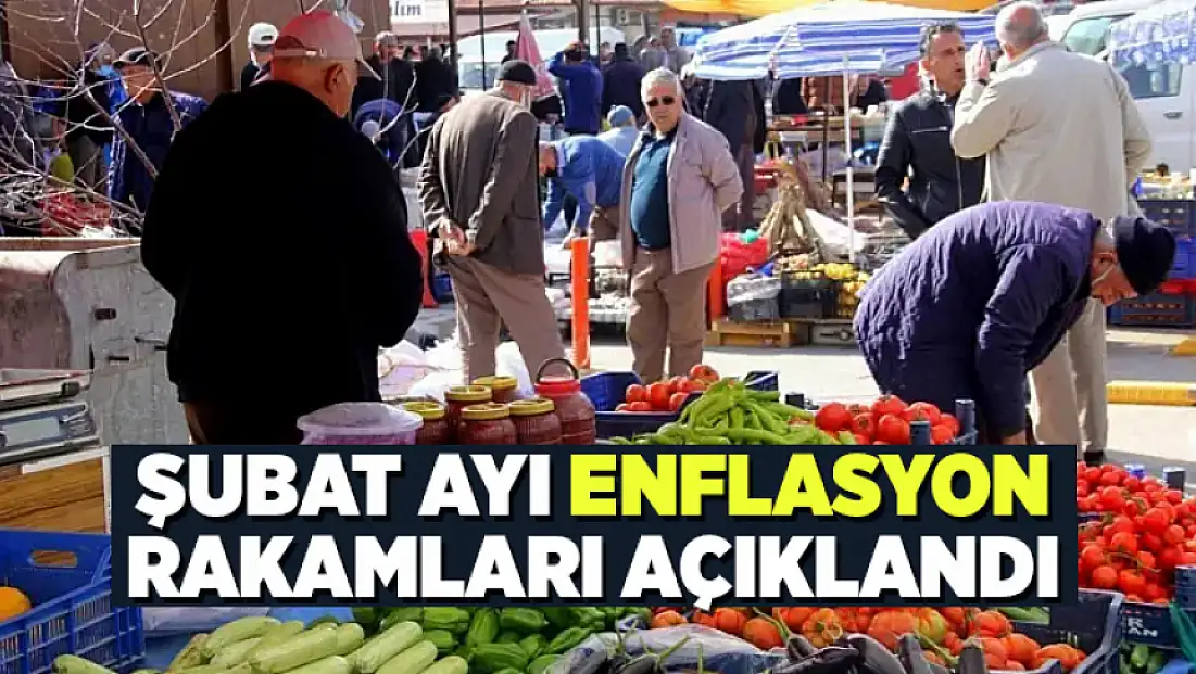 Şubat ayı enflasyon rakamları açıklandı