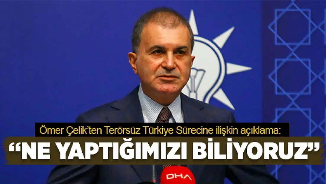 Terörsüz Türkiye sürecine ilişkin konuşan Çelik: Ne yaptığımızı biliyoruz
