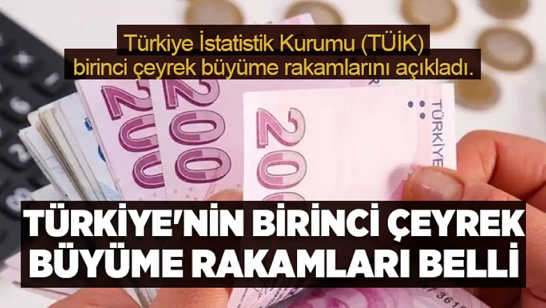 Türkiye'nin birinci çeyrek büyüme rakamları belli oldu