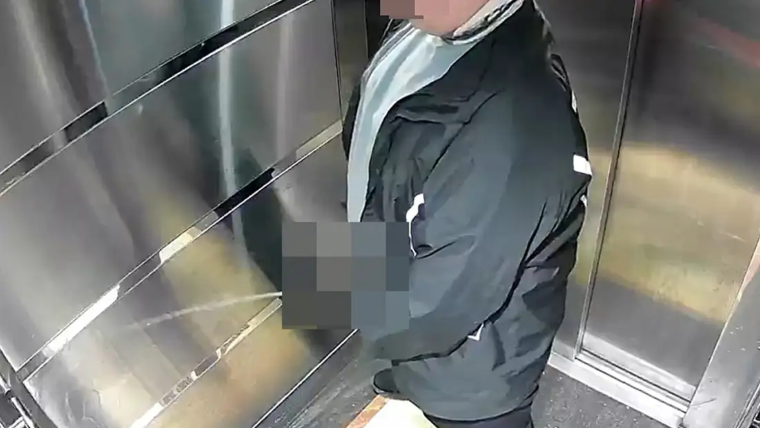 Pizzanın üstündeki malzemeleri yiyen kurye ardından asansöre tuvaletini yaptı
