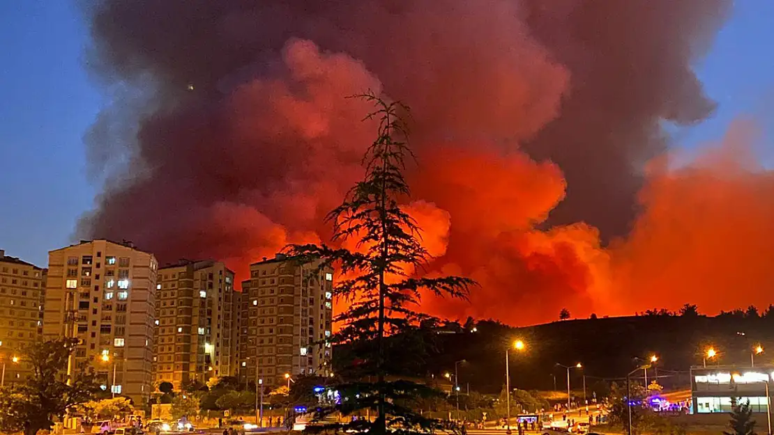 Ciğerlerimiz yanıyor