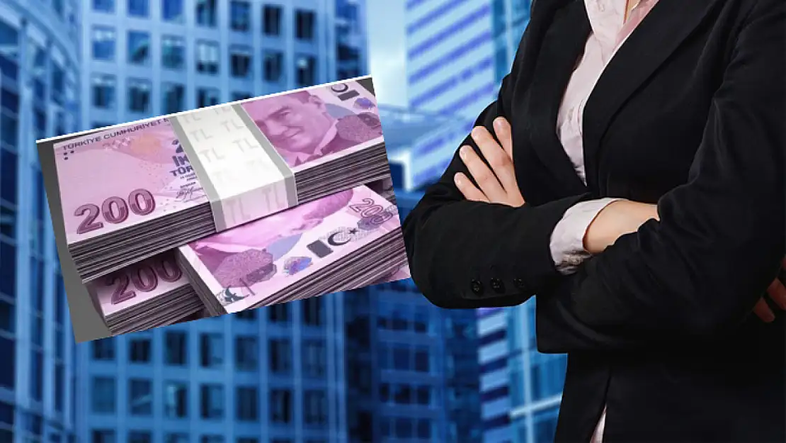 Girişimcilere 2 Milyon TL'ye kadar destek