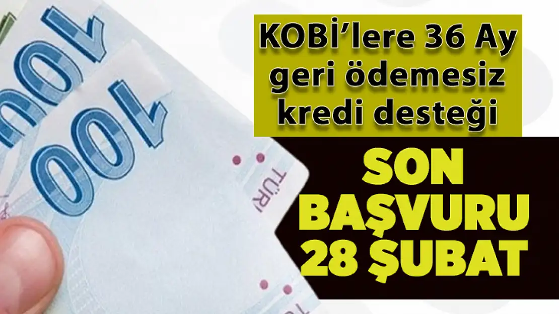 KOBİ'lere 36 Ay geri ödemesiz kredi desteği: Son başvuru 28 Şubat