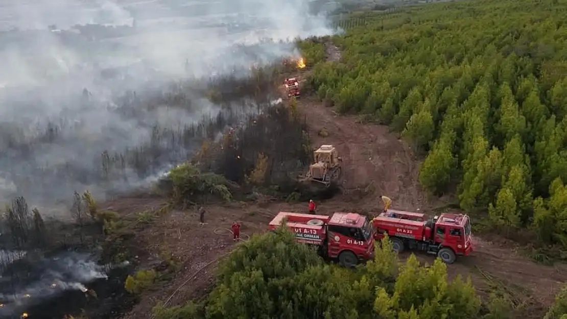 Osmaniye'de yangına giden arazöz devrildi: 1 orman işçisi şehit, 4 yaralı