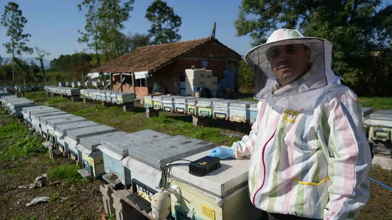 Arıcılığa teknoloji desteği