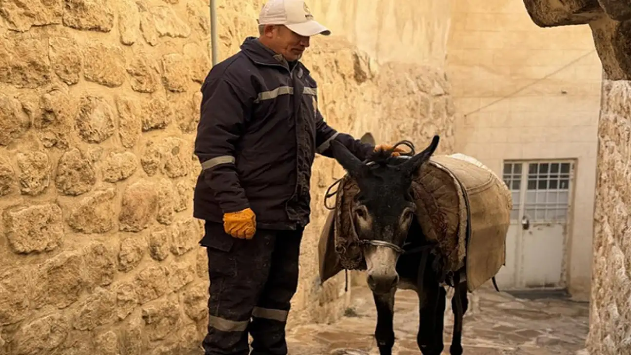 Kadrolu eşekler emekliye ayrılıyor: Yerlerini paletli araçlar alacak