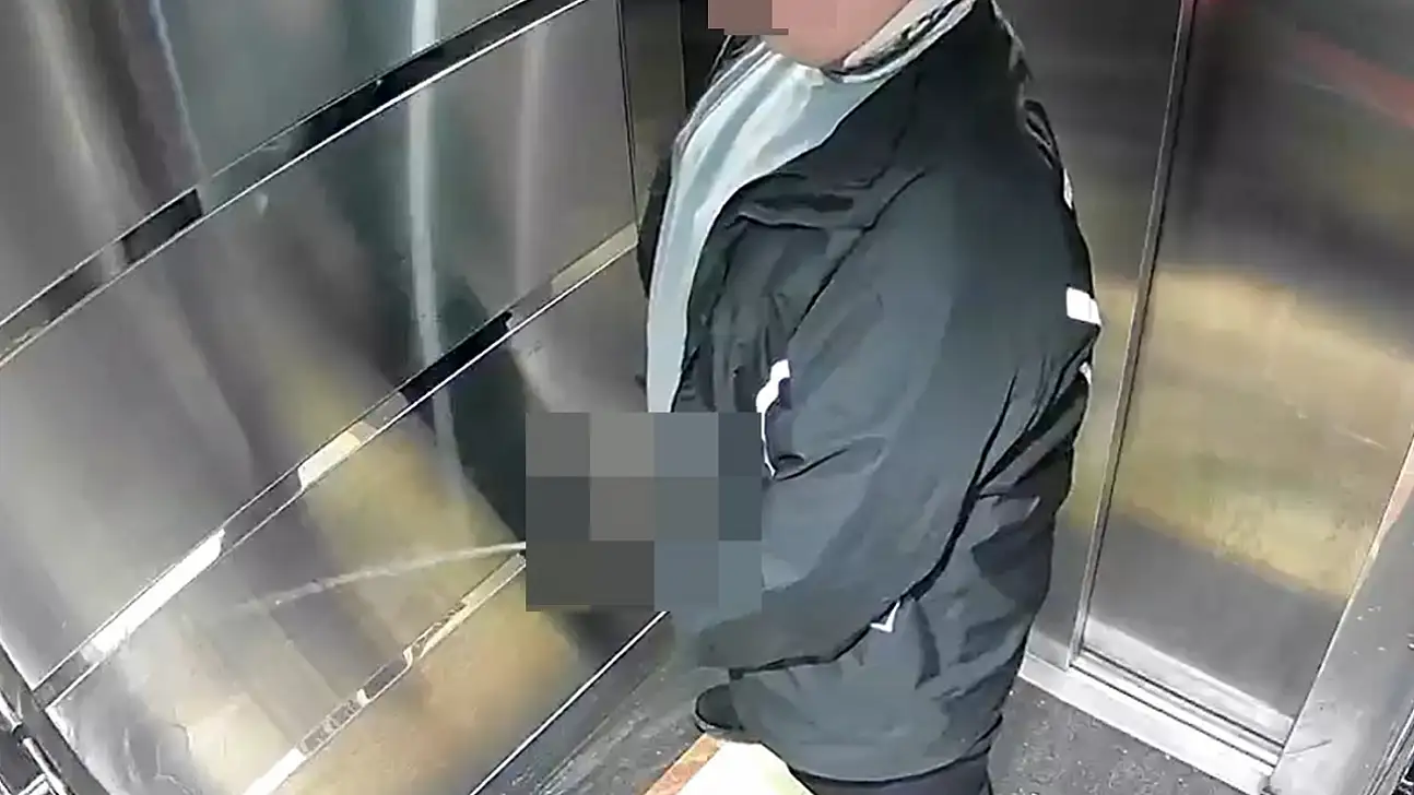 Pizzanın üstündeki malzemeleri yiyen kurye ardından asansöre tuvaletini yaptı