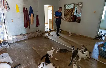 Çöp ev sanılan evde 100 kedi çıktı!