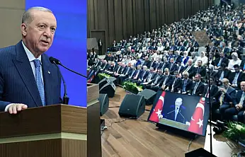 Cumhurbaşkanı Erdoğan: Muhalefet istiyor diye Türk diasporasına sırtımızı dönemeyiz