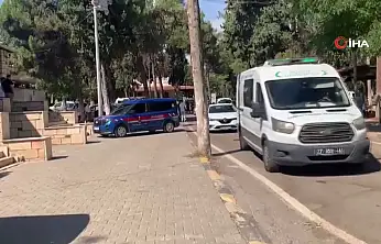 Feci kazada 2 kardeş öldü