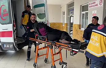 İnek bostana girdi, akrabalar birbirini öldürdü