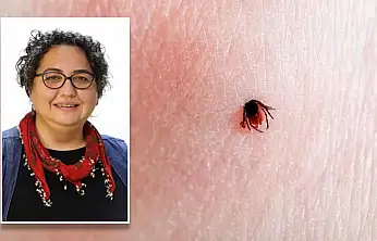 Keneler erken uyandı: Uzmanlar uyardı