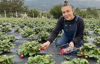 Modelistlikten çiftçiliğe: Birsen Yıldız'ın tarım yolculuğu