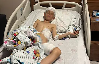 Van'da köpek dehşeti: 5 yaşındaki çocuk hayatını kaybetti, kuzeni yaralandı