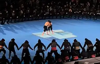 Yunanistan'da tartışma yaratan görüntüler: Horon ve güreşi de sahiplendiler