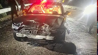 Belediye Başkanının makam aracı domuz sürüsüne çarptı: 12 domuz telef oldu