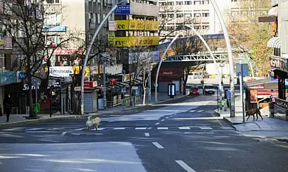Dünyanın en mutlu şehirleri açıklandı: Türkiye'den 3 şehir listede