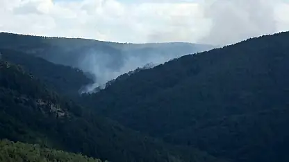 Kütahya'daki orman yangını: 7 helikopter, 4 uçak ve 22 arazöz müdahale ediyor
