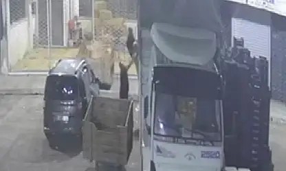 600 Kiloluk karpuz ve kavun hırsızlığı: Şüphelinin ifadesi dikkat çekti