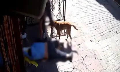 Sara nöbeti geçiren adamın telefonunu çalan vicdansızlar tutuklandı