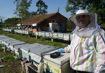 Arıcılığa teknoloji desteği