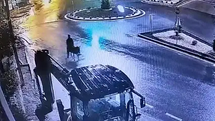 Böyle plan görülmedi forklifle çaldı, eşekle kaçtı