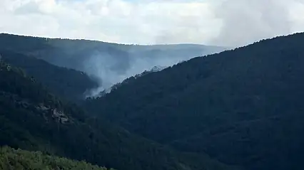 Kütahya'daki orman yangını: 7 helikopter, 4 uçak ve 22 arazöz müdahale ediyor