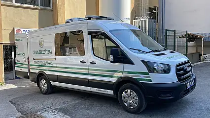 Bir şehir kene ile boğuşuyor: Bir yılda 'yedi'nci ölüm