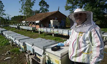Arıcılığa teknoloji desteği
