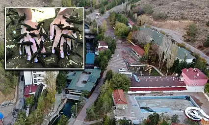 Doktor balıkların bulunduğu alan tabiat parkı ilan edildi