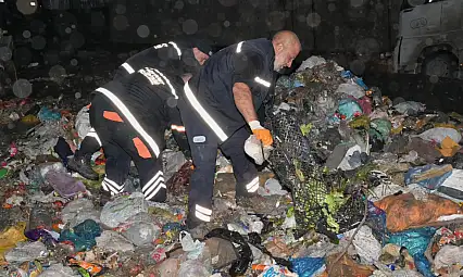 Ekipler samanlıkta adeta iğne aradı: Çöpe atılan 1 milyon 200 bin TL'lik altın bulundu