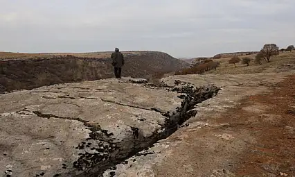 Tetis Denizi'nden kalan fosil hazinesi