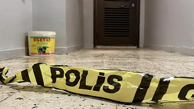 Aile içi cinayet: Anne ve ağabeyini yataklarında öldürdü