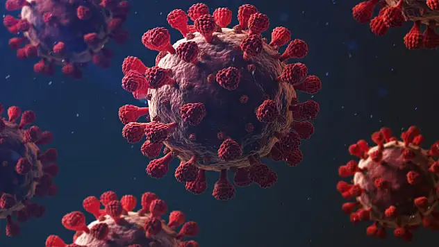 Chikungunya alarmı: Binlerce kişiye bulaştı, salgın yayılıyor