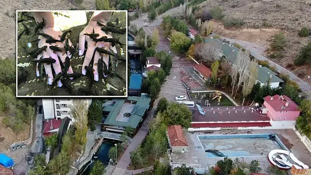 Doktor balıkların bulunduğu alan tabiat parkı ilan edildi