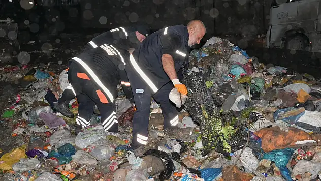 Ekipler samanlıkta adeta iğne aradı: Çöpe atılan 1 milyon 200 bin TL'lik altın bulundu