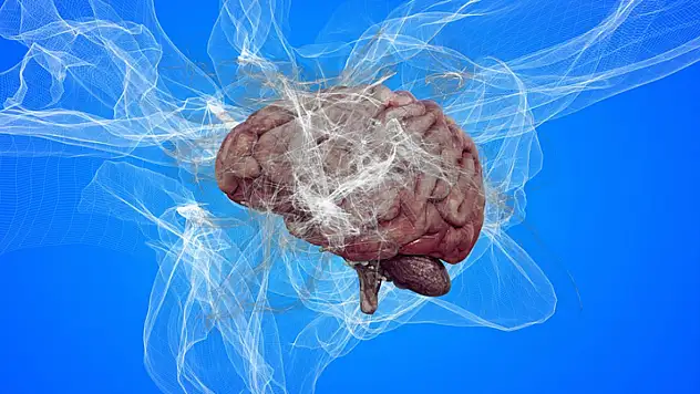 Erken tanı Alzheimer'ın ilerlemesini yavaşlatıyor