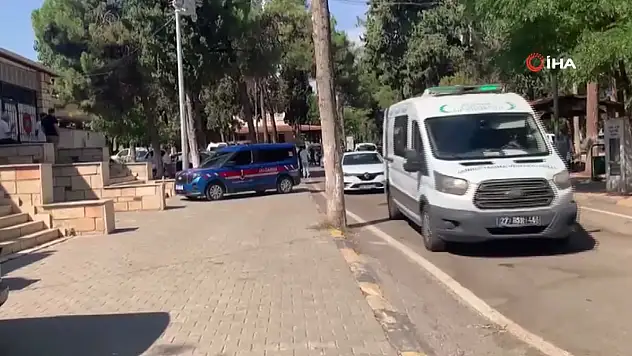 Feci kazada 2 kardeş öldü