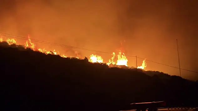 İzmir'de çıkan yangın korkuttu